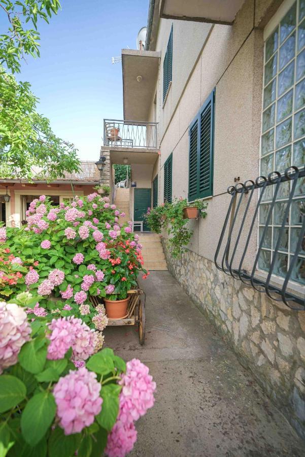 Apartments Micin Водице Экстерьер фото